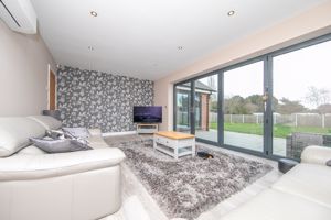 THE CONIFERS- click for photo gallery